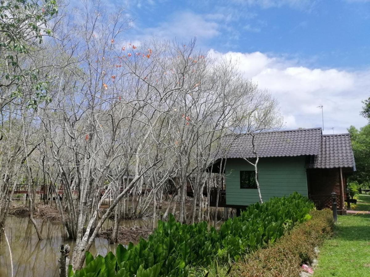 Api-Api Eco Chalet Pantai Kok Exteriör bild